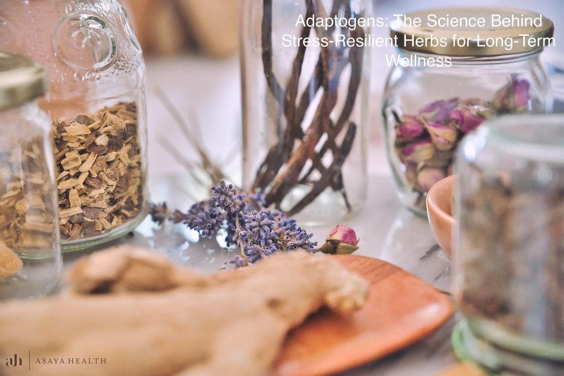 Adaptogens: The Science Behind Stress-Resilient Herbs for Long-Term Wellness