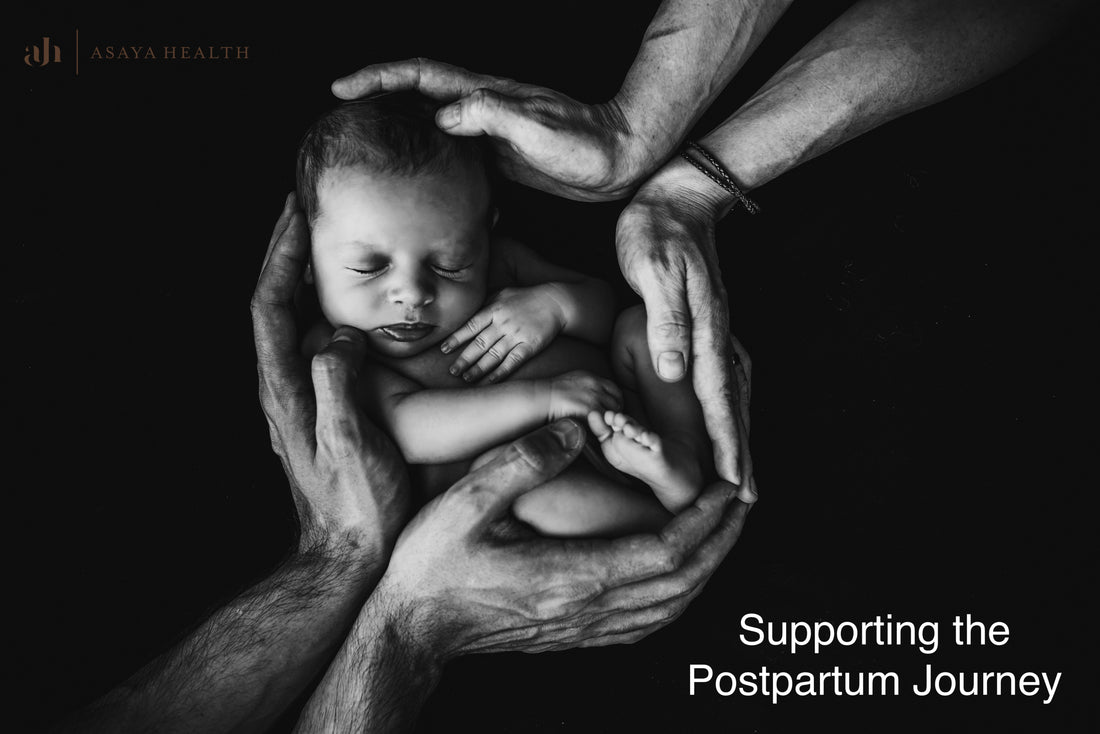 Supporting the Postpartum Journey