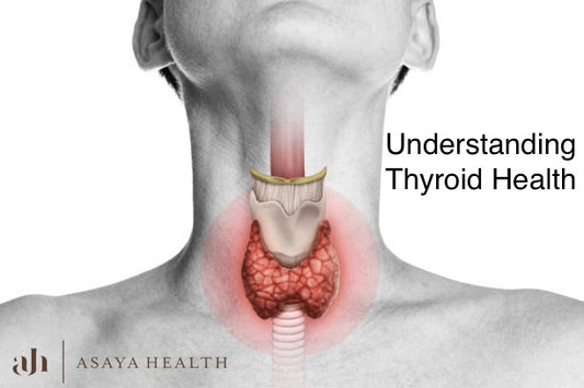 Understanding Thyroid Health