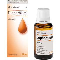 Euphorbium